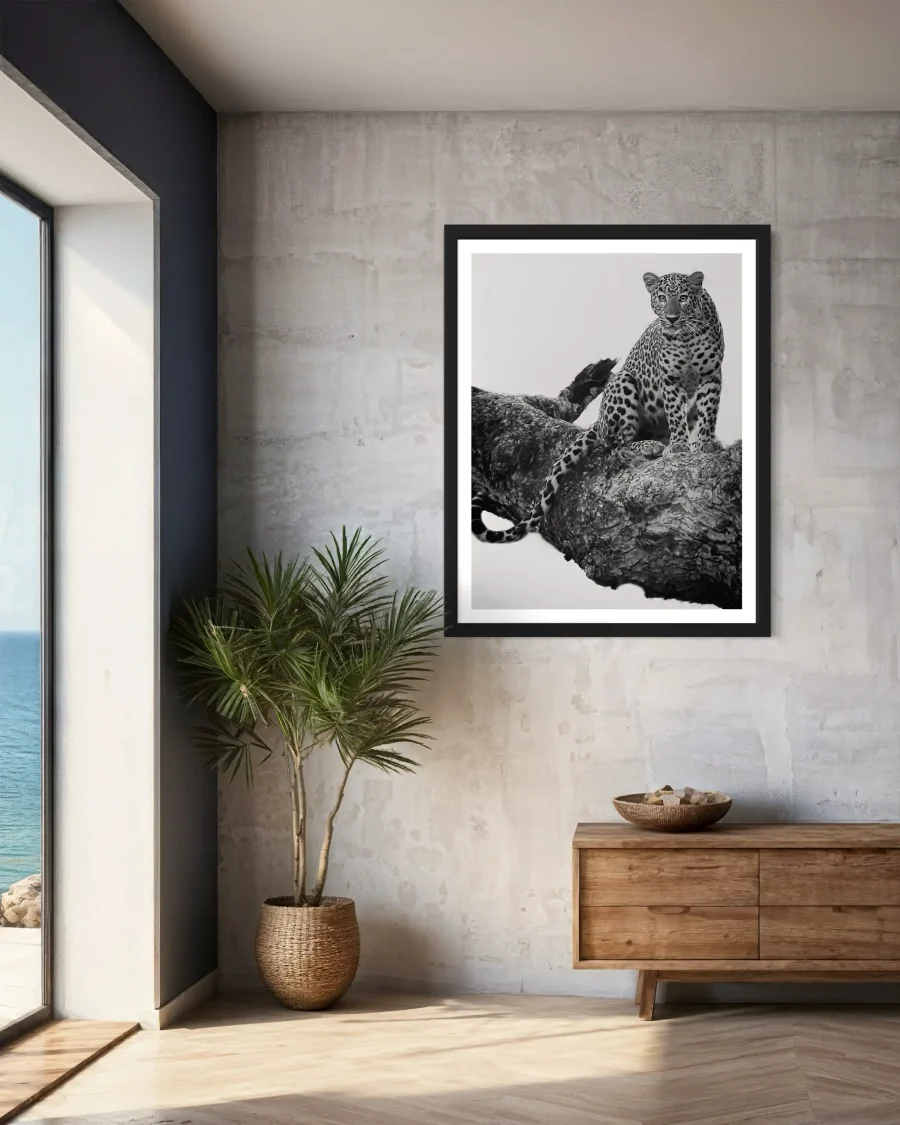 Felino - Imagen 5