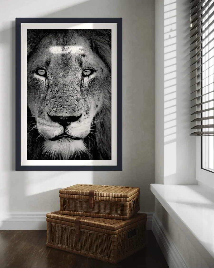 Majestad - Imagen 2