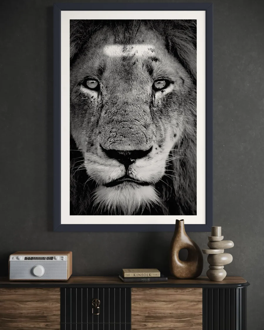 Majestad - Imagen 3