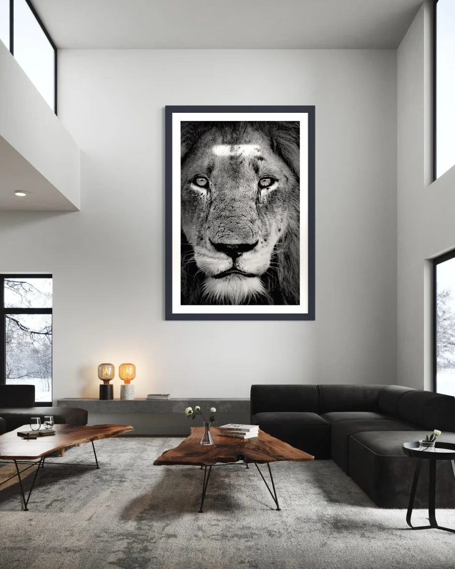 Majestad - Imagen 4