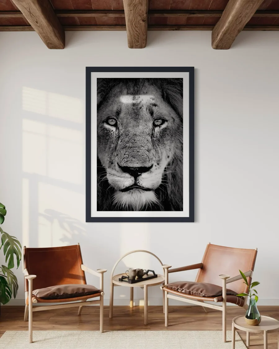 Majestad - Imagen 5