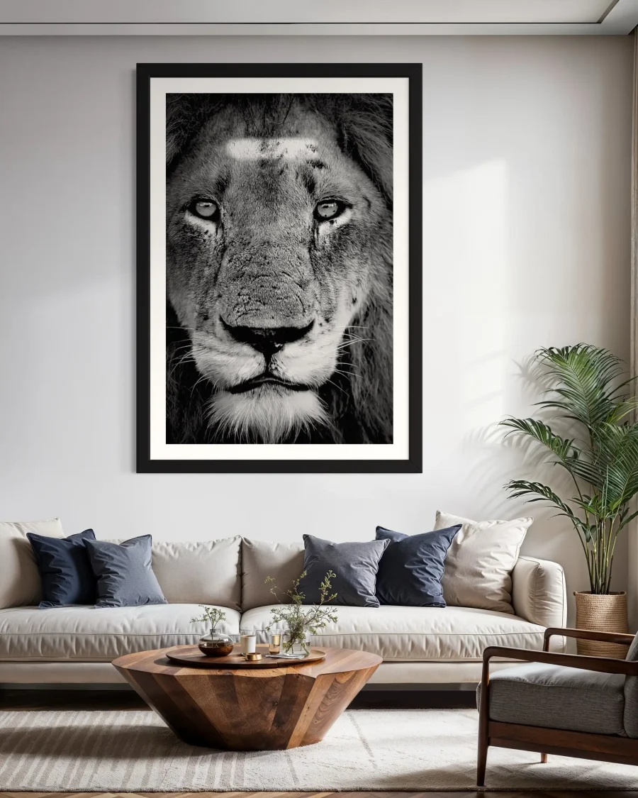 Majestad - Imagen 7