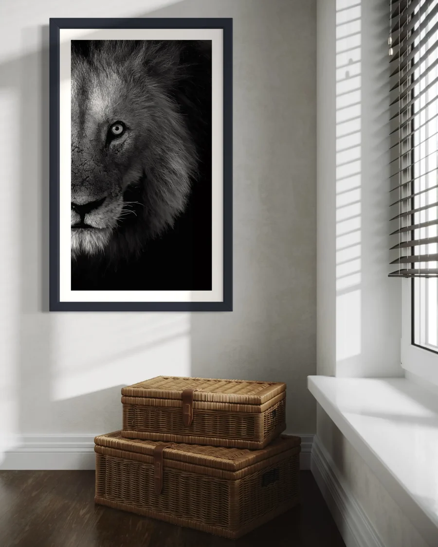 Mirada - Imagen 4