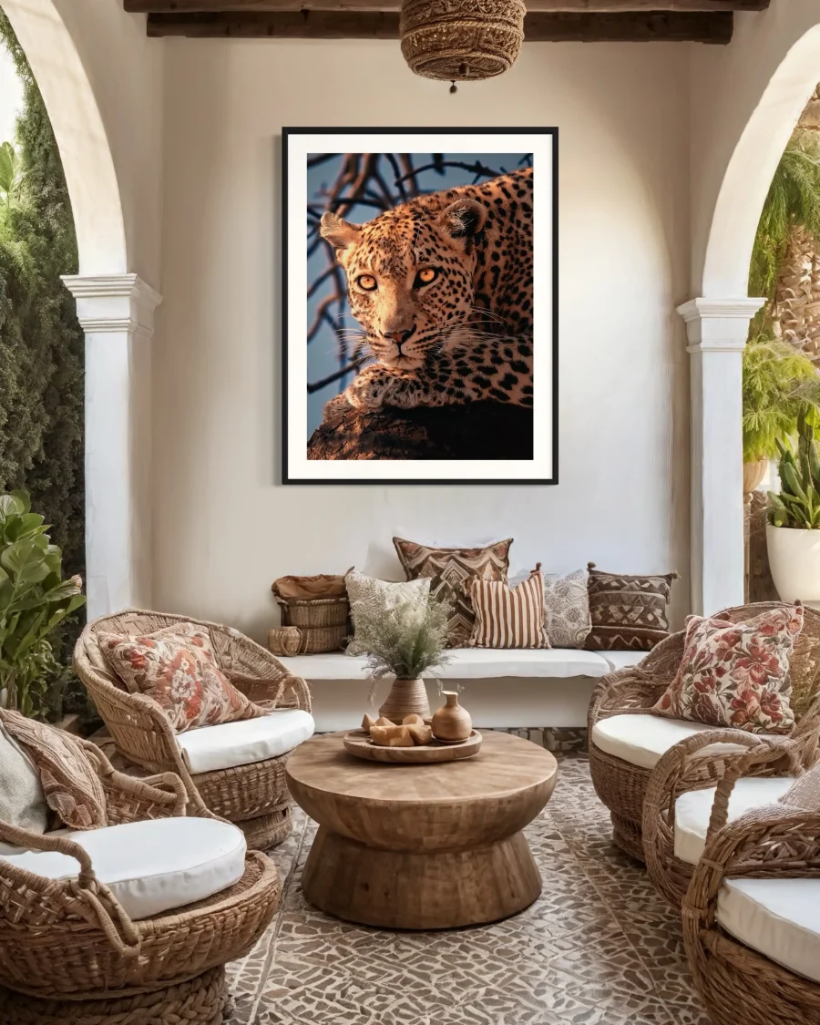 Mirada de Oro - Imagen 4
