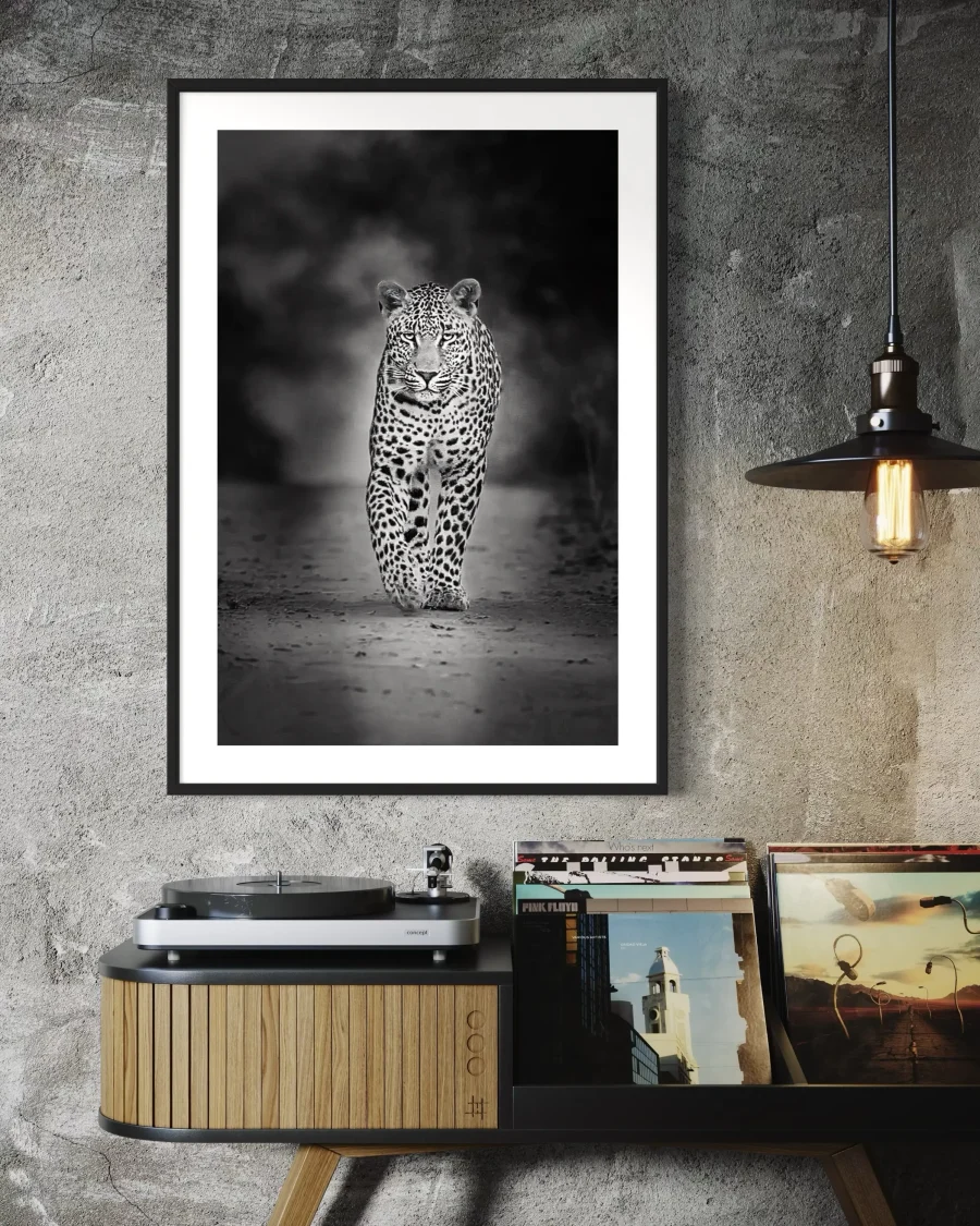 Sombra Felina - Imagen 5