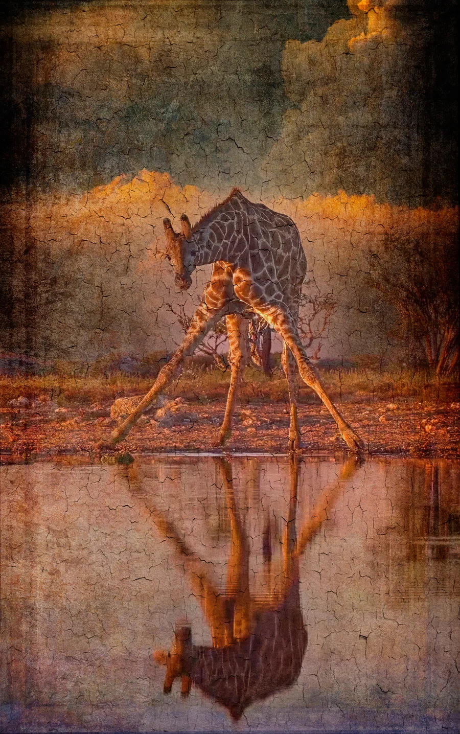 Reflejo Jirafa