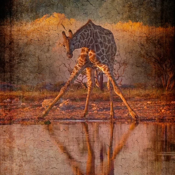 Reflejo Jirafa