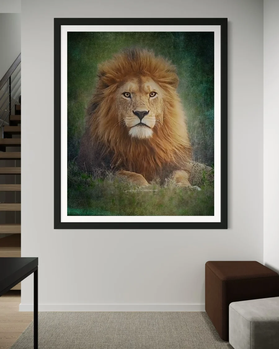 Bravura - Imagen 4
