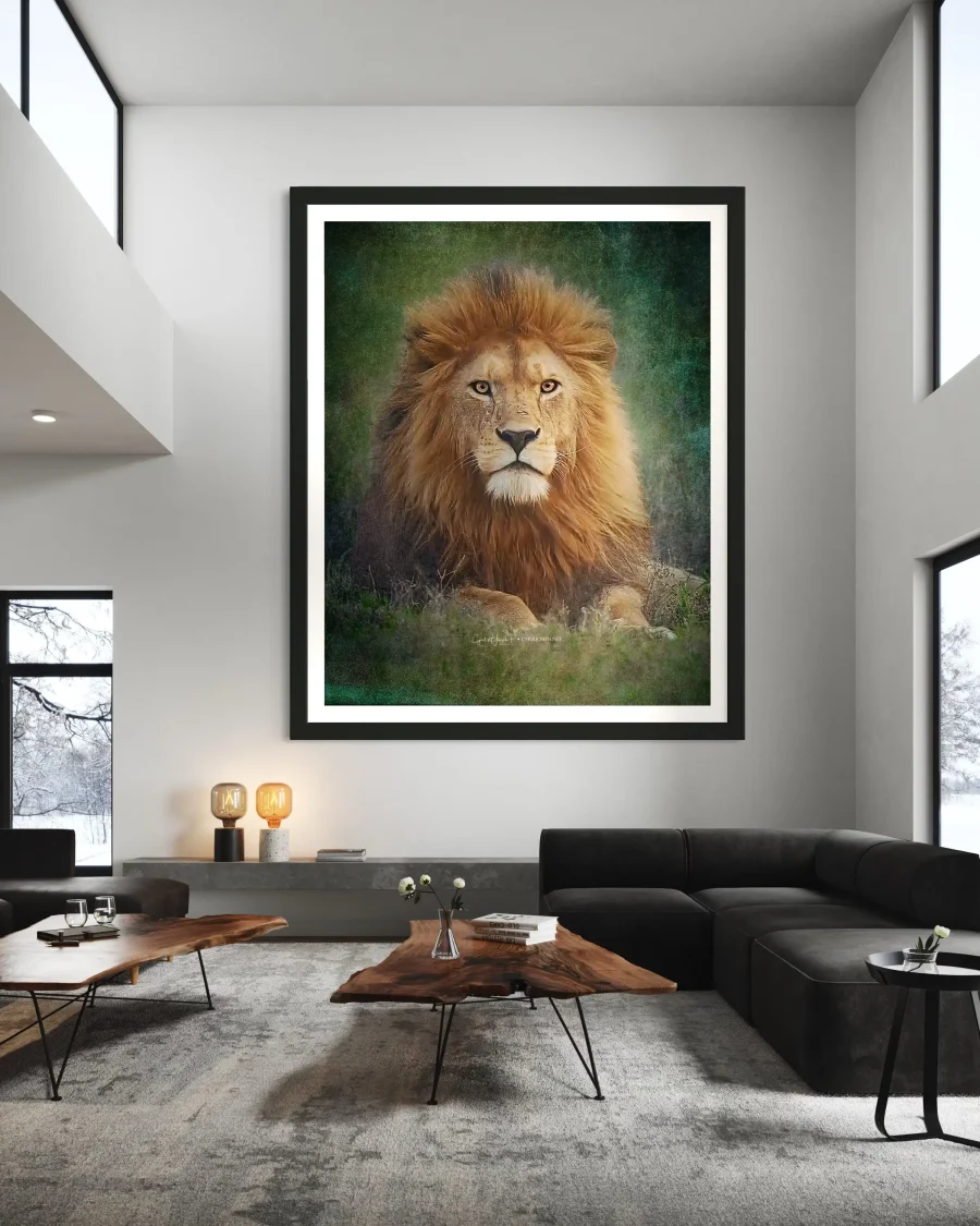 Bravura - Imagen 3