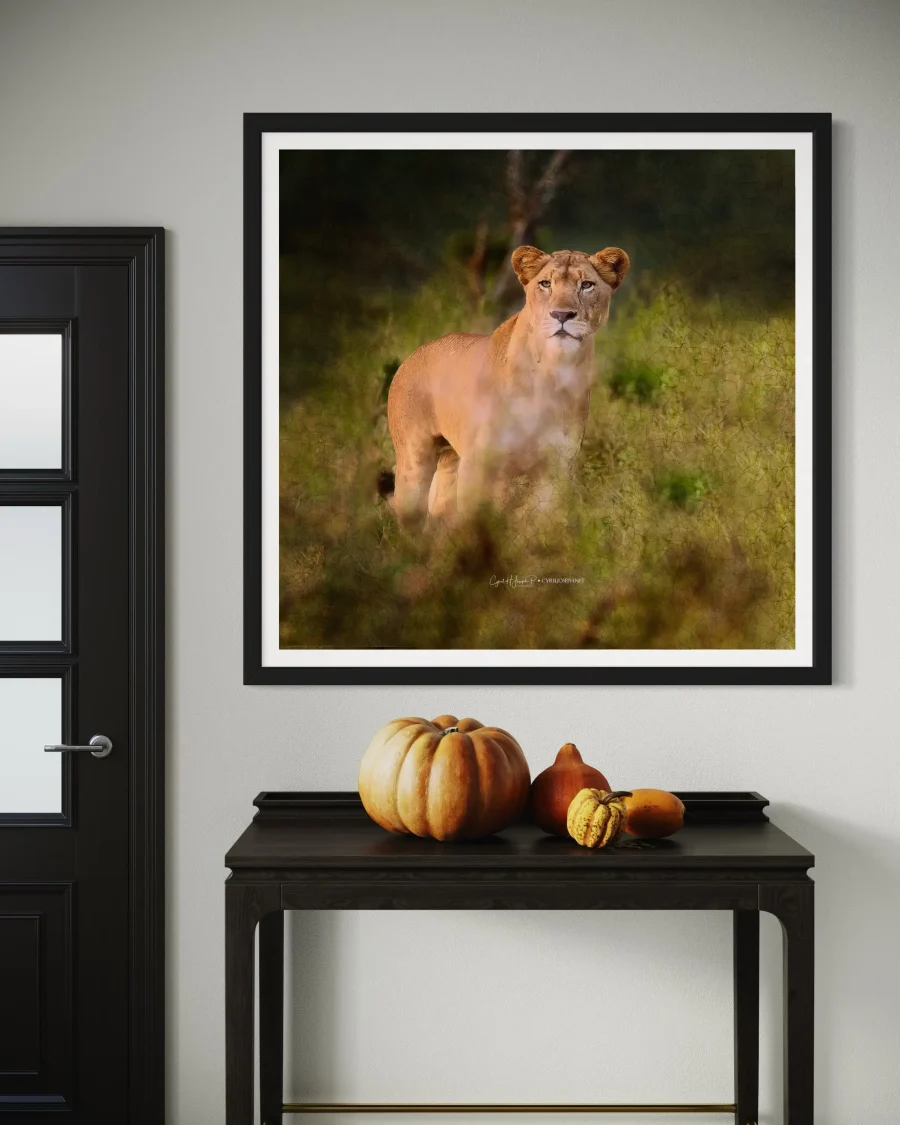 Lioness - Imagen 3