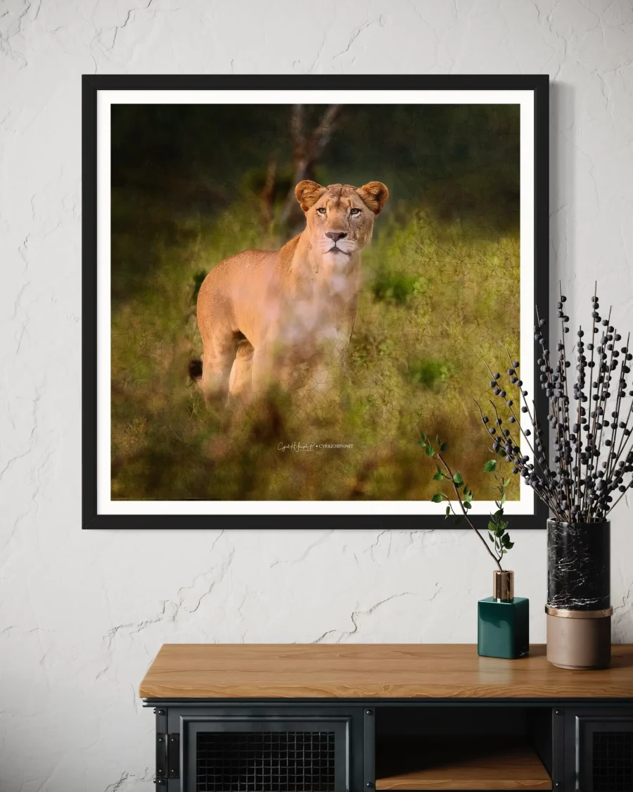 Lioness - Imagen 2