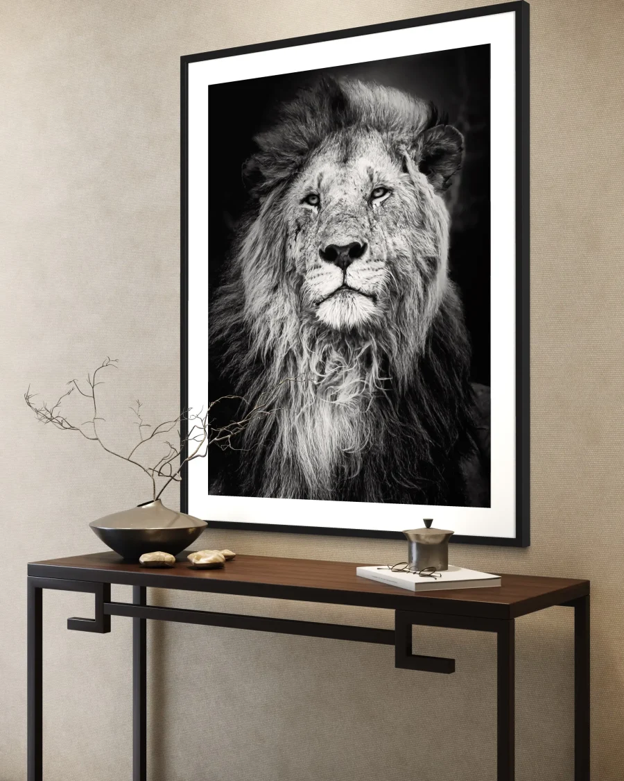 Majestad - Imagen 5