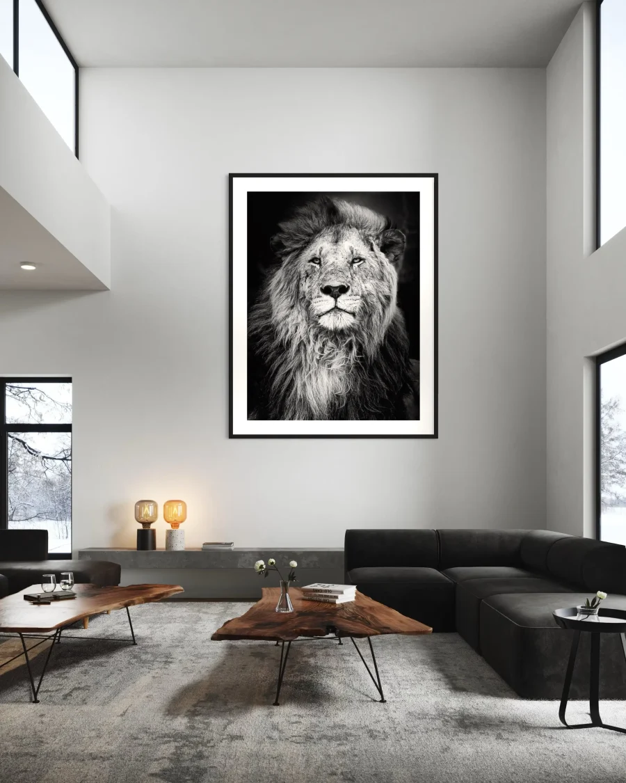 Majestad - Imagen 3