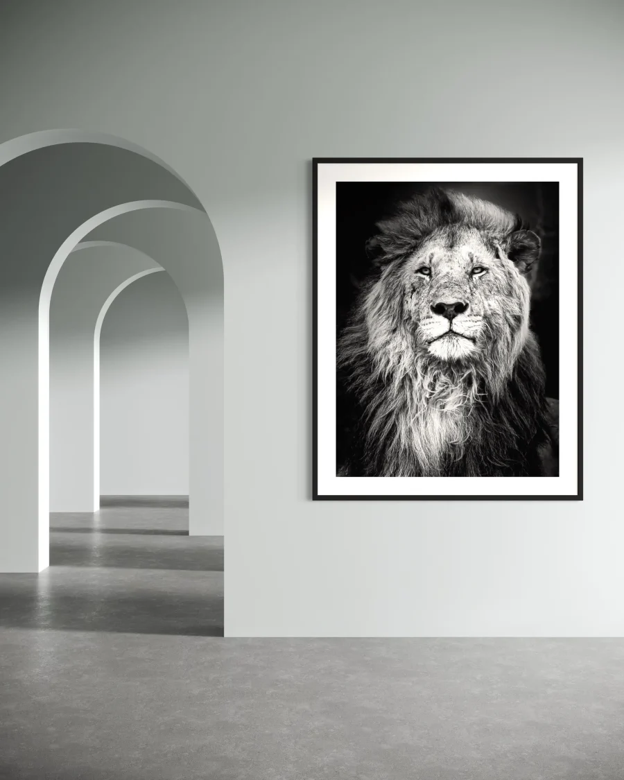 Majestad - Imagen 2