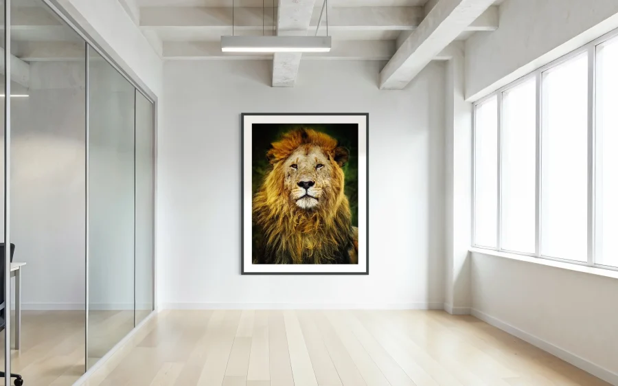 Majestad Color - Imagen 4