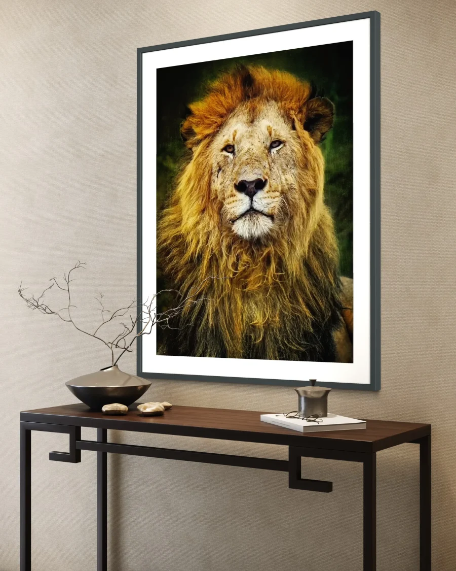 Majestad Color - Imagen 3