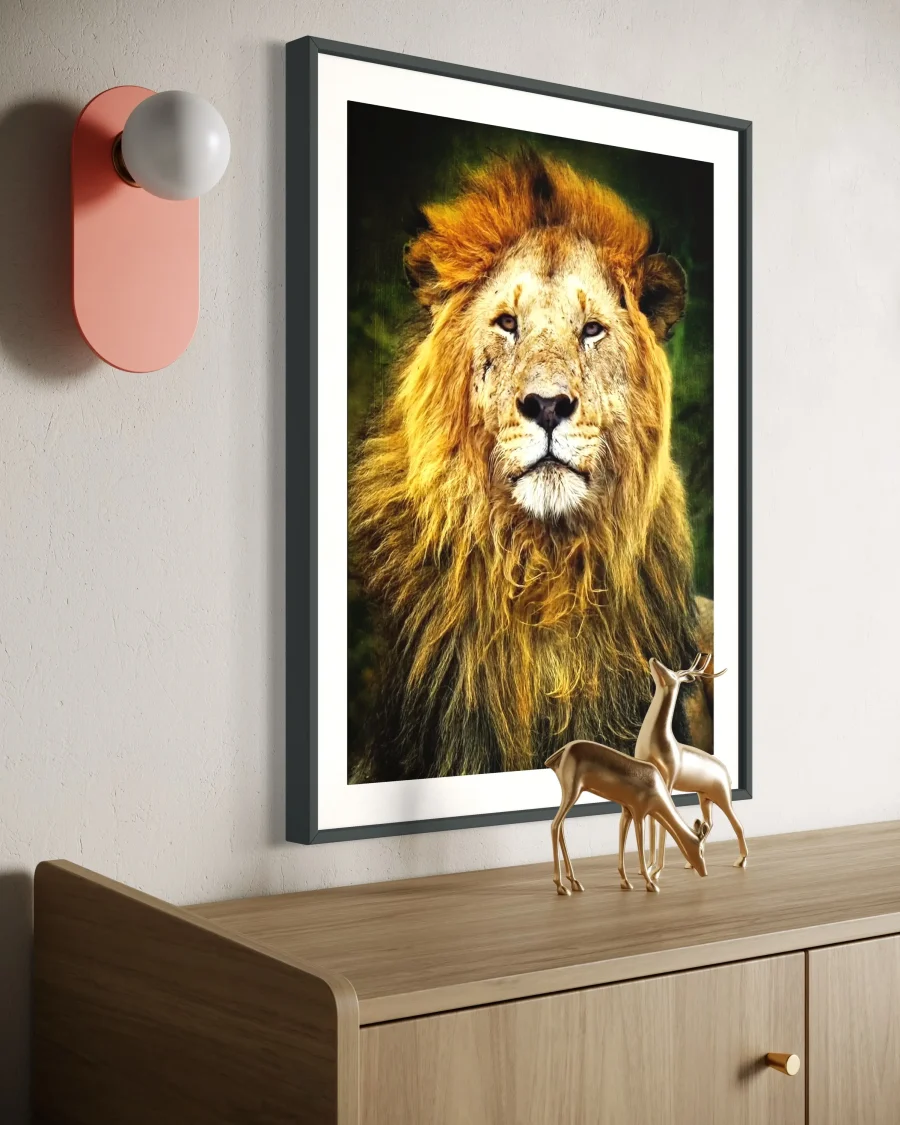 Majestad Color - Imagen 2