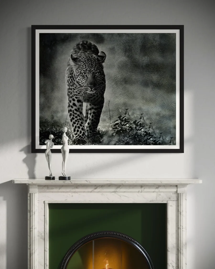 Sigilo Nocturno - Imagen 4