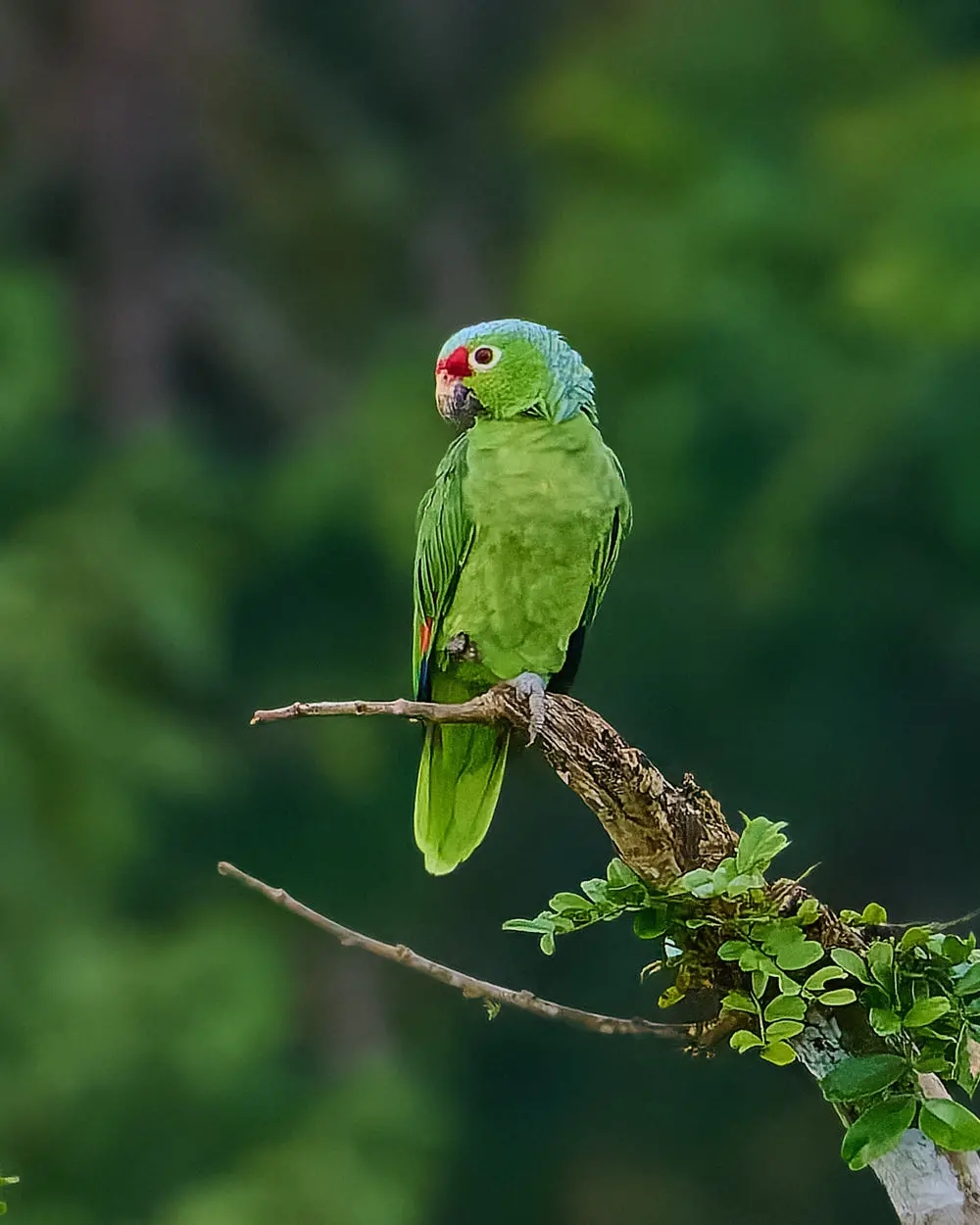 Caminata de Descubrimiento - Imagen 6