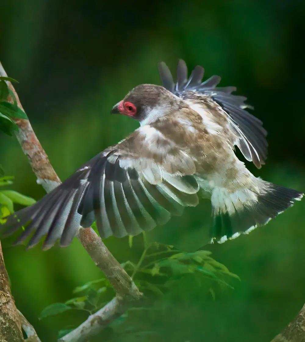 Caminata de Descubrimiento - Imagen 3