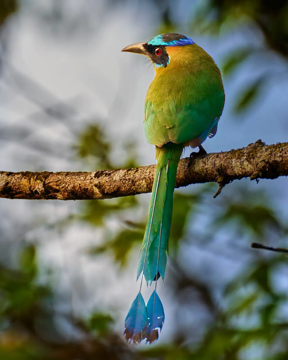 Caminata de Descubrimiento